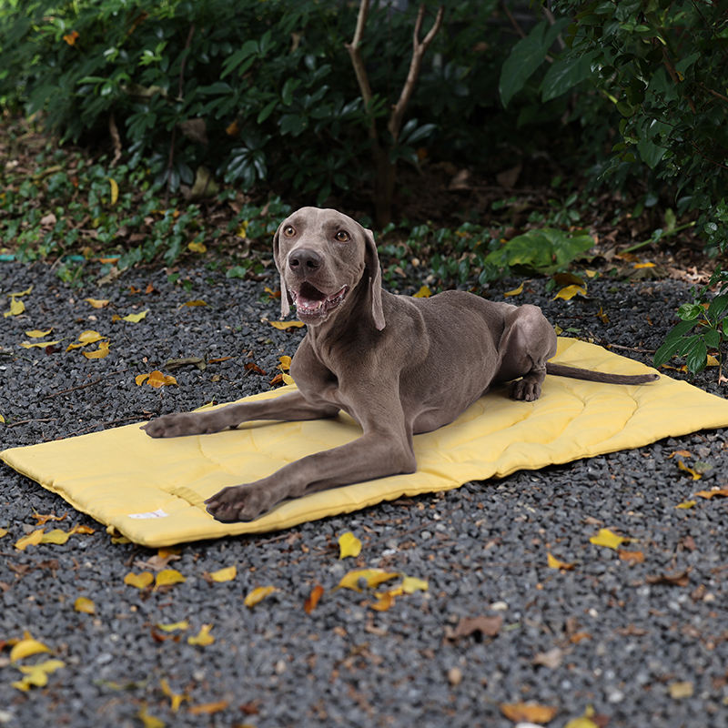 ポータブル折りたたみ式ペットマット,収納バッグ,ペット用品, - Outdoor Rug Waterproof のレビューと価格